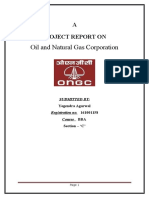 Oil and Natural Gas Corporation: A Project Report On