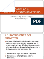 Capitulo IV Flujo de Costos y Beneficios