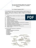 Estrategias para Una Psicoterapia Breve Del Ataque y Del Trastorno Por Pánico A Traves de La Terapia Gestalt