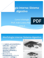 Ictiologia Sistema Digestivos LOAIZA