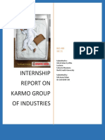 Intern Report On Karmo