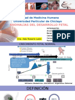 Anomalias Desarrollo