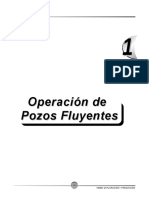 Pozos Fluyentes