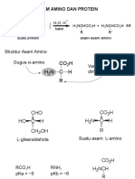 Bab 19. Asam Amino