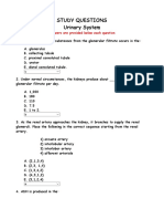 Study Questions Urinary System