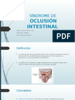 Oclusion Intestinal