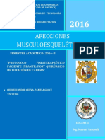 Protocolo Fisioterapeútico Paciente Post Quirúrgico de Luxación de Cadera en Paciente Infante