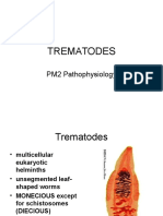 pm2 TREMATODES