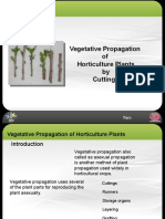 Vegetative Propagation