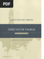 DERECHO de FAMILIA - Hernan Troncoso Larronde