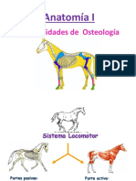 Generalidades Osteologia y Artrologia