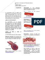 Bioquímica de La Coagulación