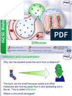 Boardworks Diffusion