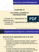 CCM Culture Change in Organizations Chap10