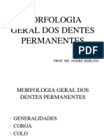 Morfologia Geral Dos Dentes Permanentes PDF