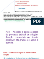 Apresentação - Aulas 10 e 12 - Dr. Paulo Lépore