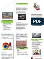 Triptico de Los Tipos de Contaminacion