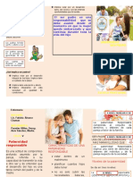 Triptico de Paternidad Responsable