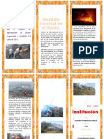 Triptico Incendio Forestal Ilucan