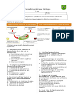 Integrativa 1° Medio Biol