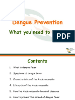 Dengue Prevention: What You Need To Know