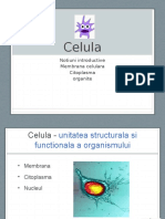 Celula Anatomie Medicina