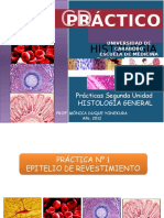 Prácticas Unidad II. Histología General