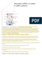 UMN Vs LMN Including Mnemonic