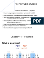 Chapter 14/15: Polymer Studies Issues