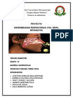 Proyecto Matematico "Enfermedades Respiratorias"