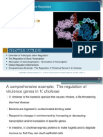 Gene Regulation in Prokaryotes 0