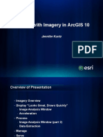 1a Working With Imagery in Arcgis10 PDF