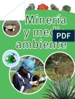 Mineria y Medio Ambiente