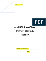 Rapport Audit