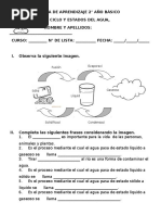 GUIA de APRENDIZAJE Ciclo y Estados Del Agua