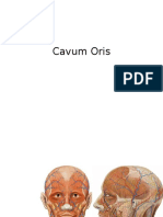 Cavum Oris 