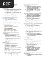 Enfermedades Del Riñón - Patología