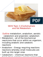 Sehs Topic 3 2 Carbohydrate and Fat Metabolism