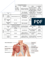 Upper Limb Muscles