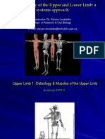 Gross Anatomy of The Upper and Lower Limb: A Systems Approach