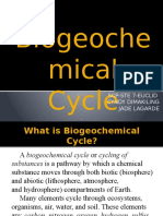 Biogeoche Mical Cycle: Scp-Ste 7-Euclid Cyndy Dimakiling Jade Lagarde