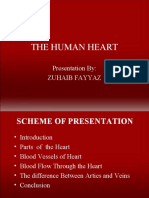 The Human Heart: Presentation By: Zuhaib Fayyaz