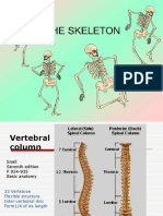 Anatomy #2 Vertebral Column-1