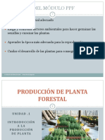 Introduccion A La Producción de Planta Forestal