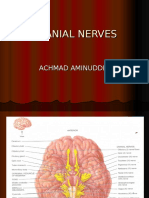 Cranial Nerves