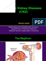 Hasyim Kasim: Nephrology and Hypertension Division, Department of Internal Medicine Medical Faculty Hasanuddin University