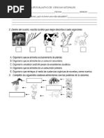 Taller Evaluativo de Ciencias Naturales 2 Periodo Grado 4