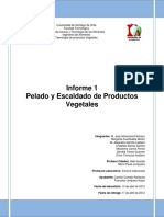 Informe 1 de Vegetales Pelado y Escaldado