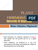 Plant Hormones