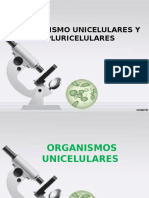 Organismo Unicelulares y Pluricelulares